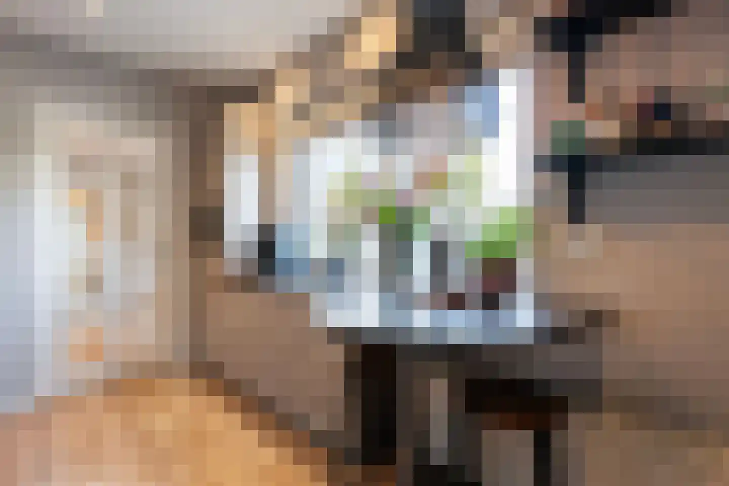 Wijnruitstraat 1 Wierden thumbnail 18