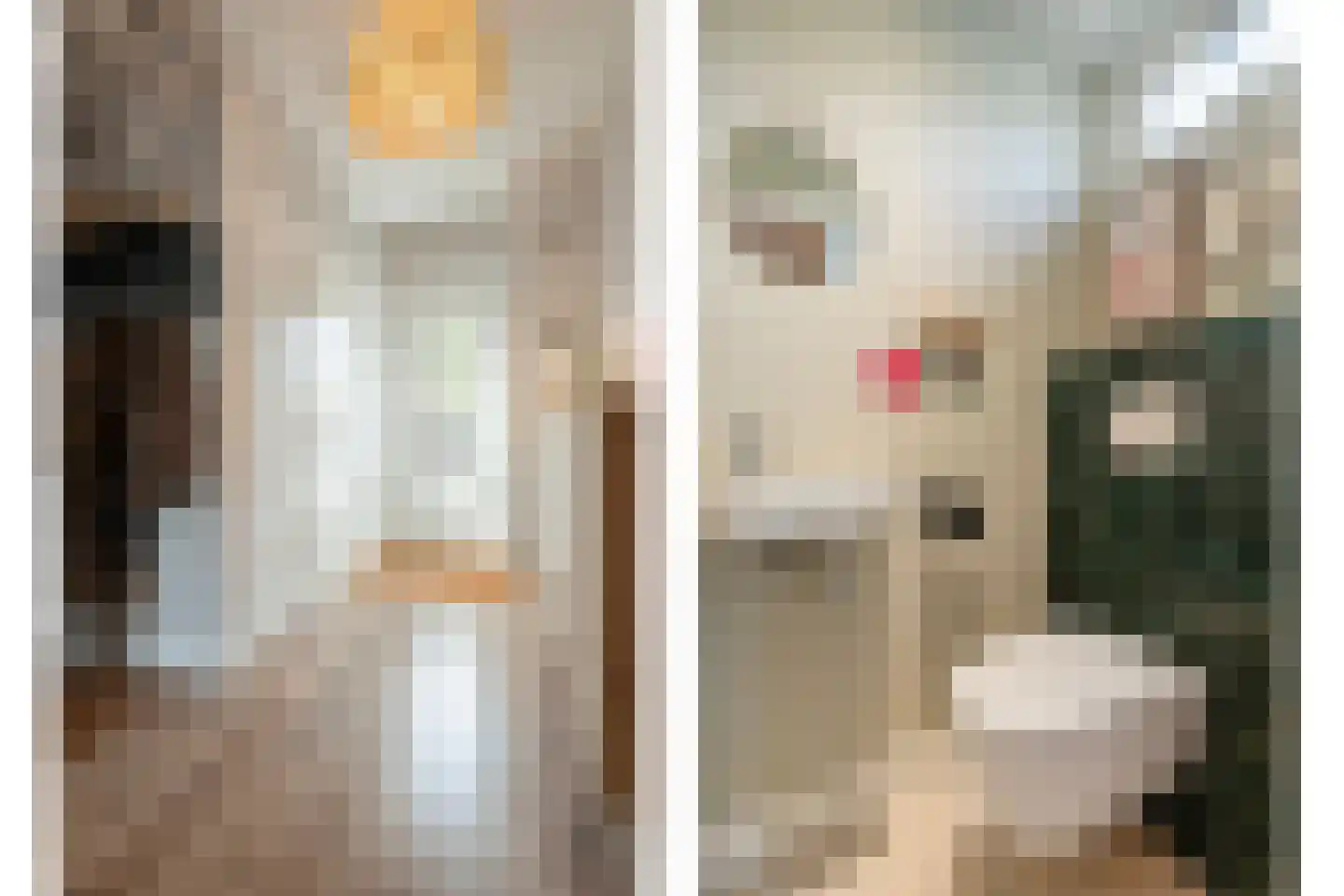 Wijnruitstraat 1 Wierden thumbnail 20