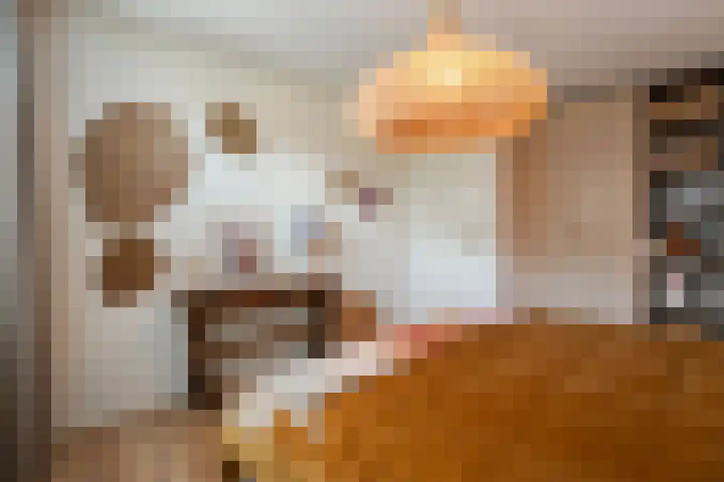 Wijnruitstraat 1 Wierden thumbnail 22