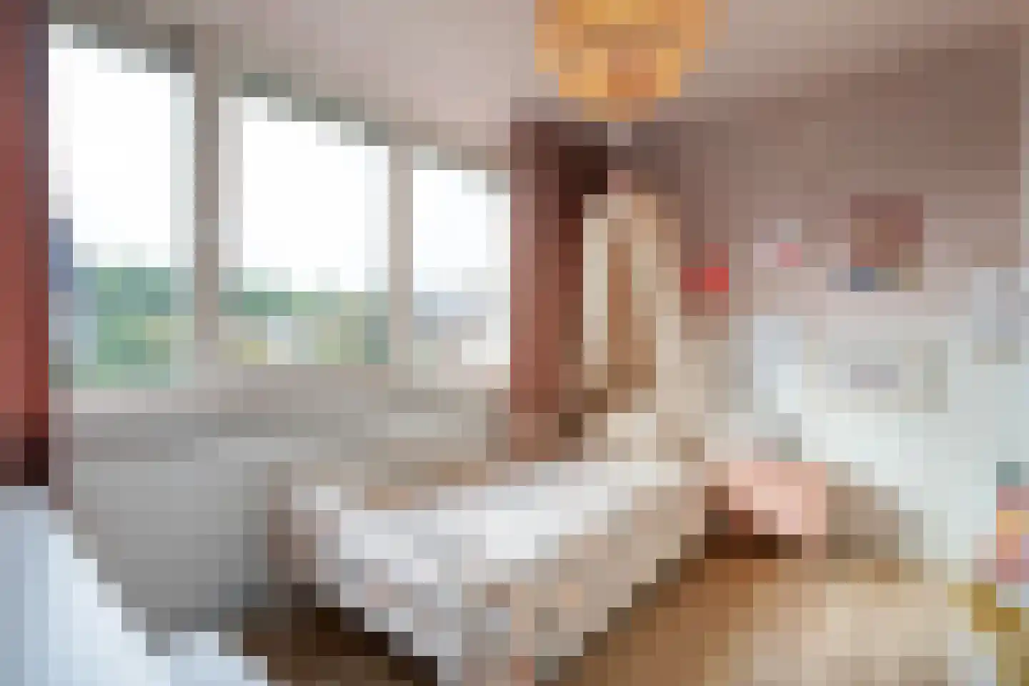 Wijnruitstraat 1 Wierden thumbnail 24