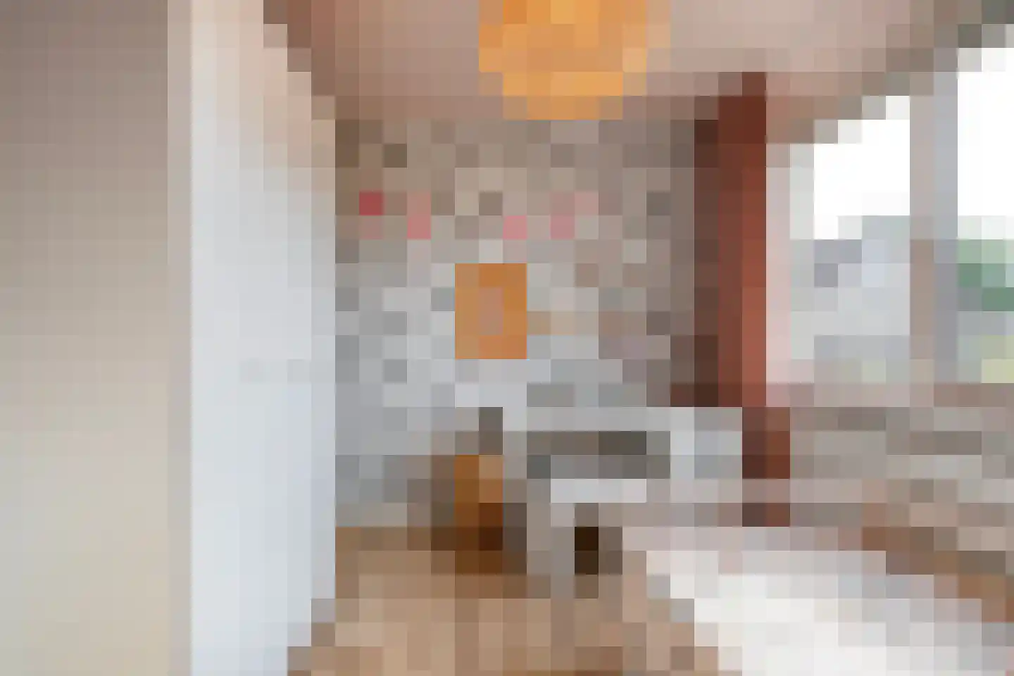 Wijnruitstraat 1 Wierden thumbnail 25
