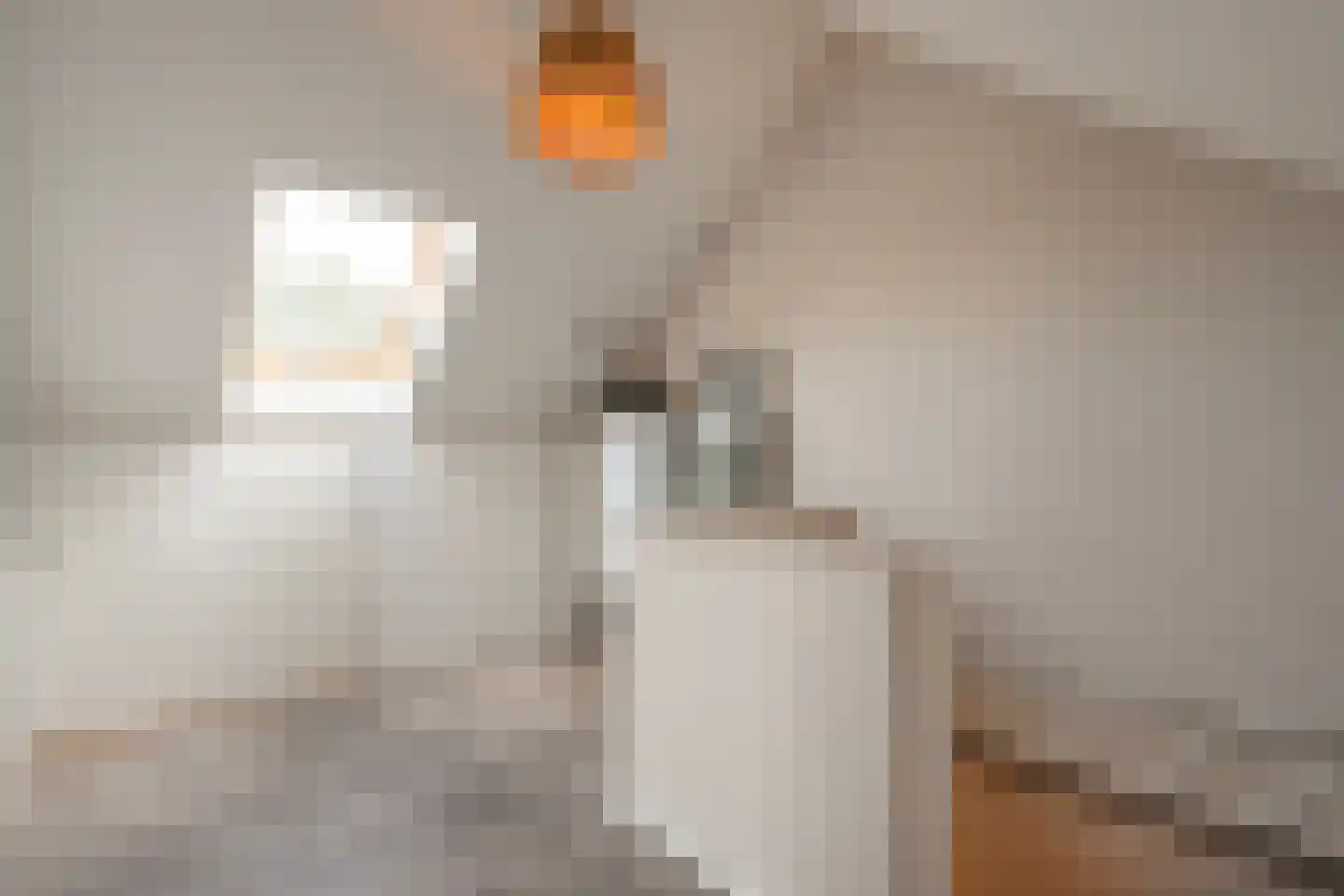Wijnruitstraat 1 Wierden thumbnail 29