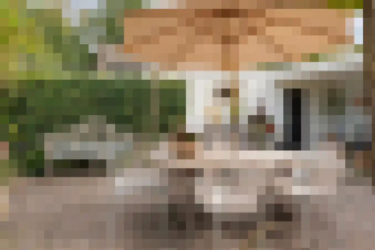 Wijnruitstraat 1 Wierden thumbnail 33