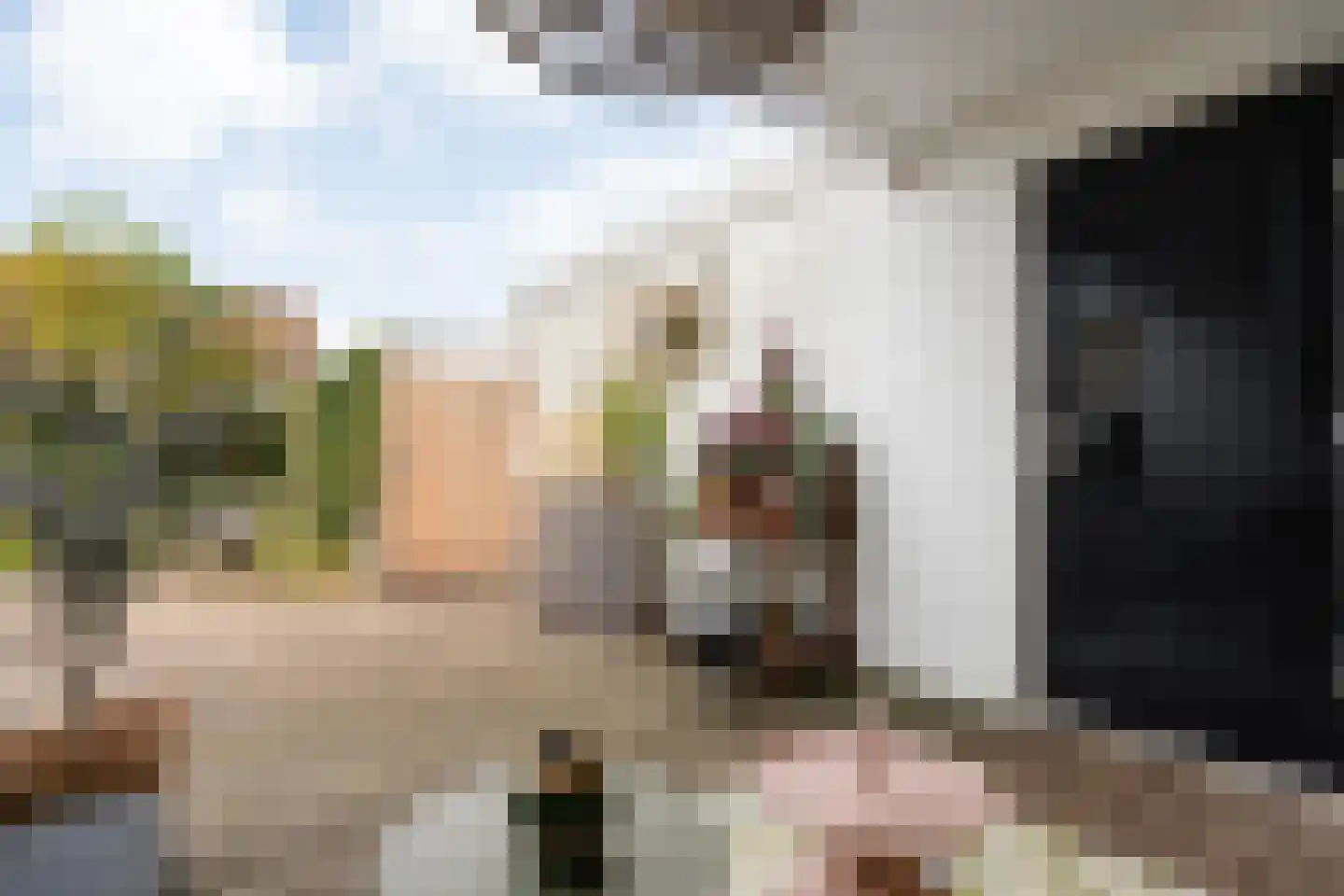 Wijnruitstraat 1 Wierden thumbnail 34