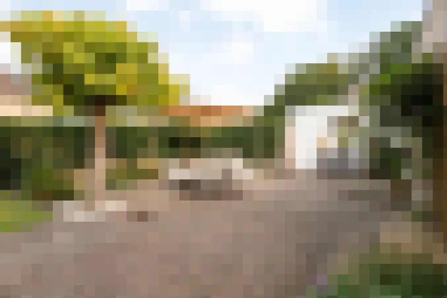 Wijnruitstraat 1 Wierden thumbnail 35