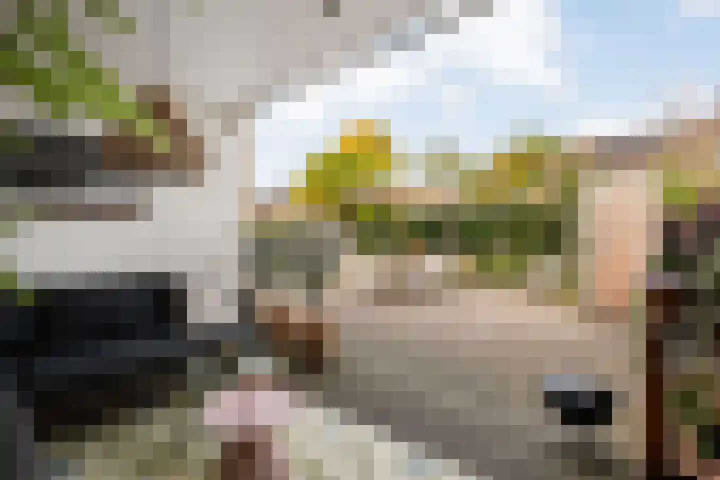 Wijnruitstraat 1 Wierden thumbnail 36