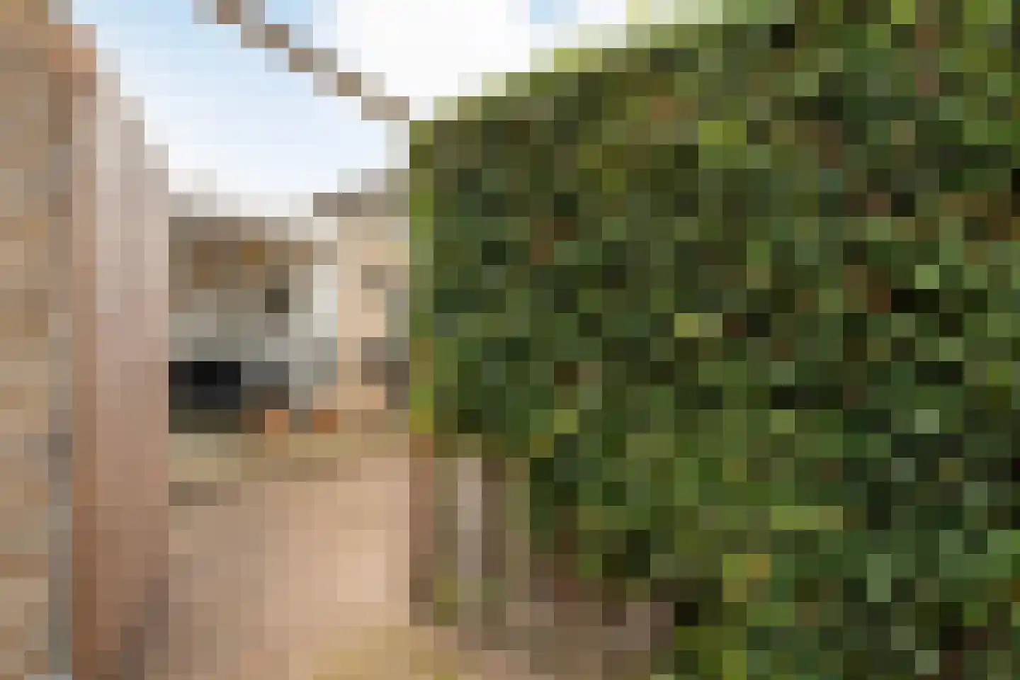 Wijnruitstraat 1 Wierden thumbnail 39