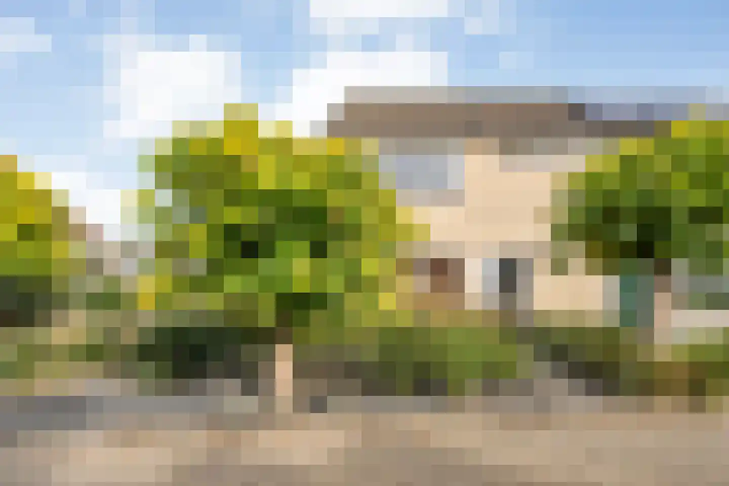Wijnruitstraat 1 Wierden thumbnail 41