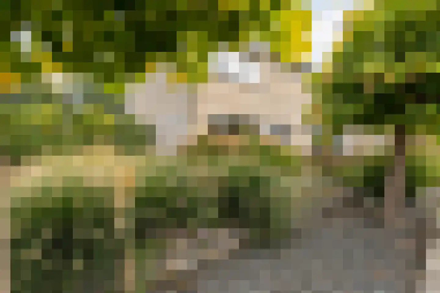 Wijnruitstraat 1 Wierden thumbnail 42