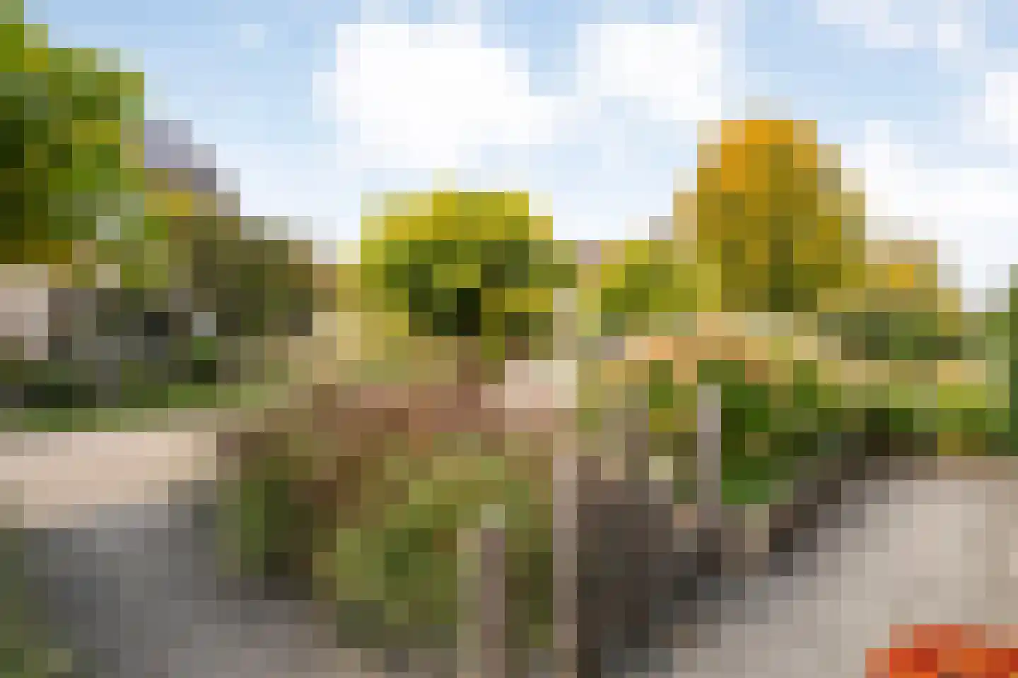Wijnruitstraat 1 Wierden thumbnail 43