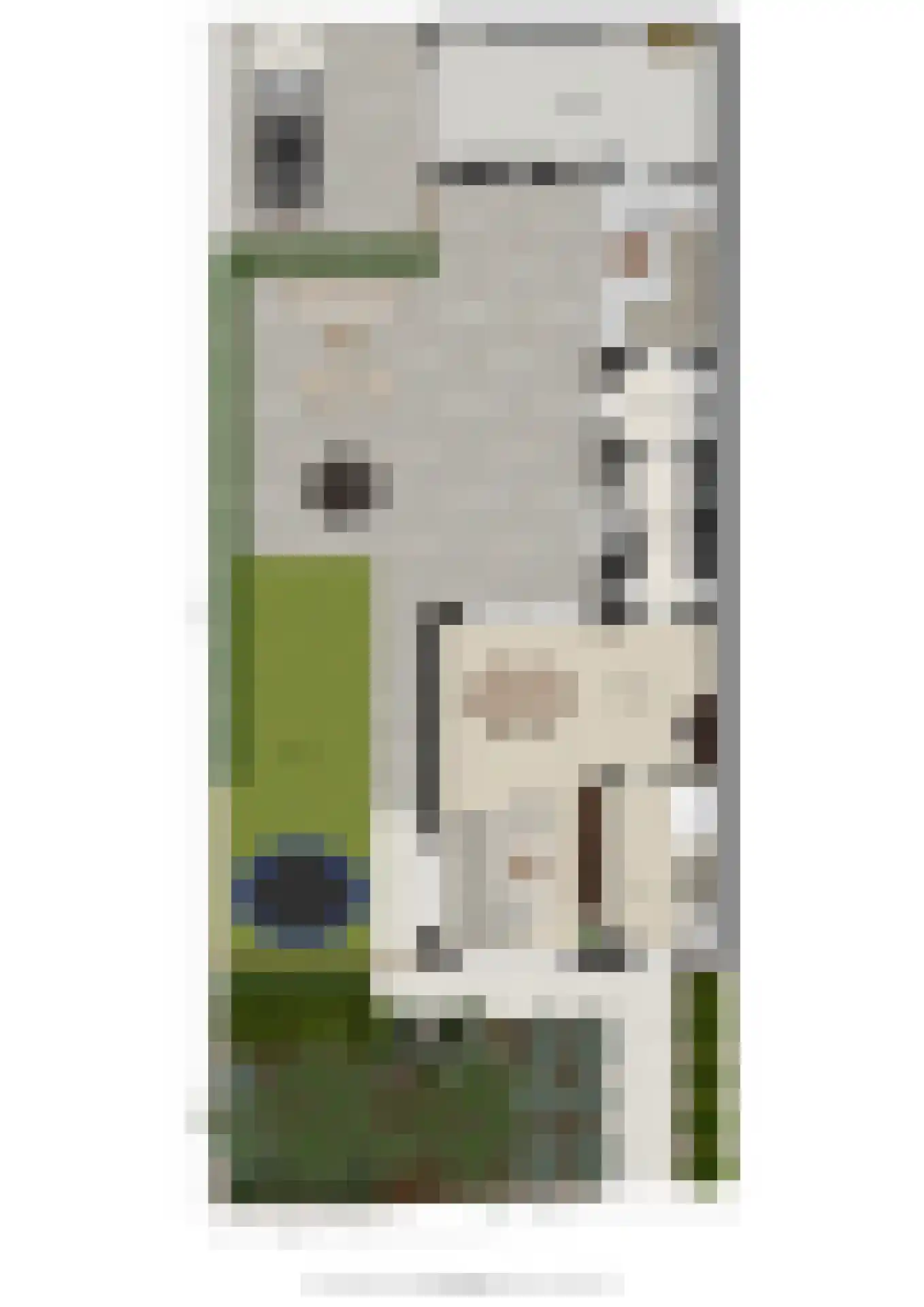 Wijnruitstraat 1 Wierden thumbnail 49