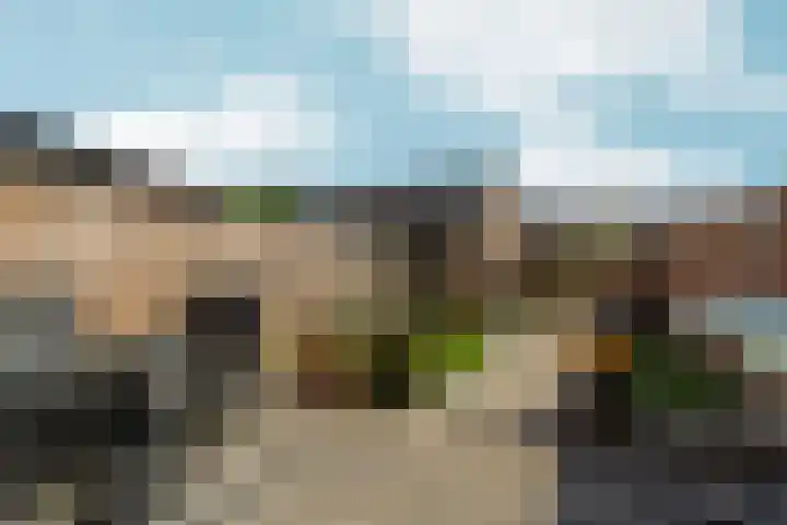 Wijnruitstraat 10 Almere thumbnail 26