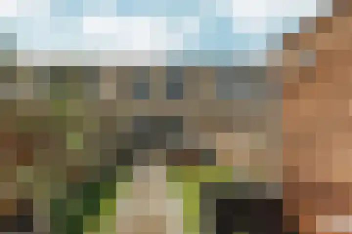 Wijnruitstraat 10 Almere thumbnail 27