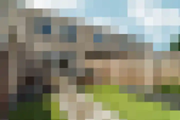 Wijnruitstraat 10 Almere thumbnail 28