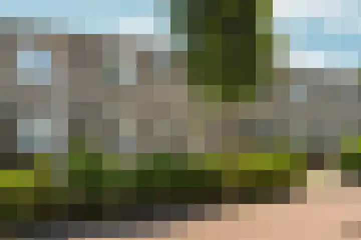 Wijnruitstraat 10 Almere thumbnail 29