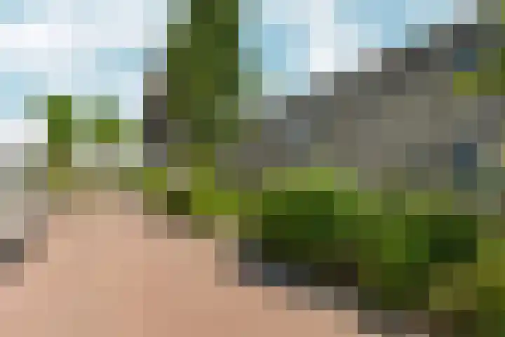 Wijnruitstraat 10 Almere thumbnail 31