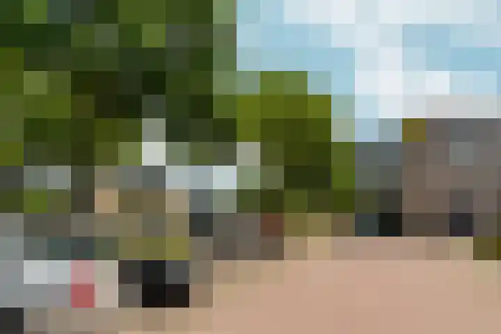 Wijnruitstraat 10 Almere thumbnail 32