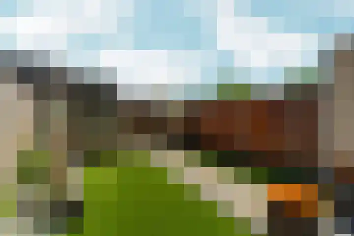 Wijnruitstraat 10 Almere thumbnail 4