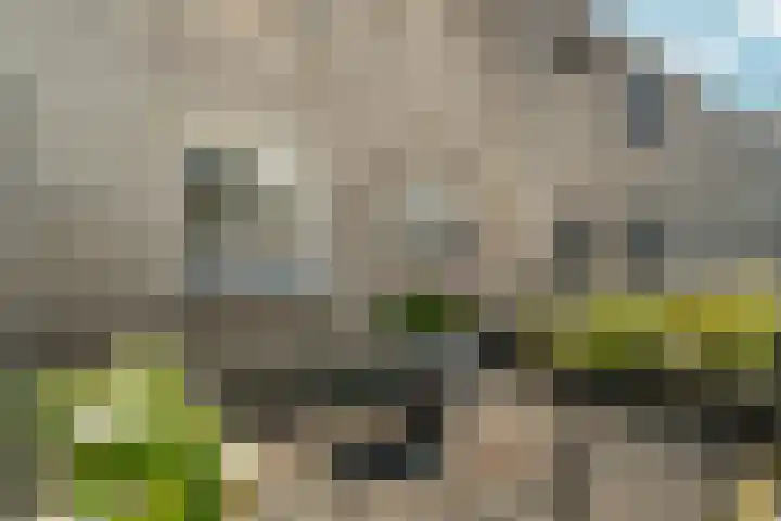Wijnruitstraat 10 Almere thumbnail 5