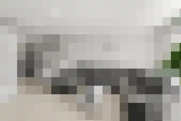 Wijnruitstraat 10 Almere thumbnail 9