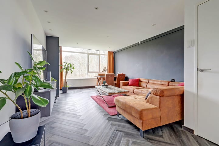 Wijnruitstraat 117 in Hoogvliet Rotterdam Foto