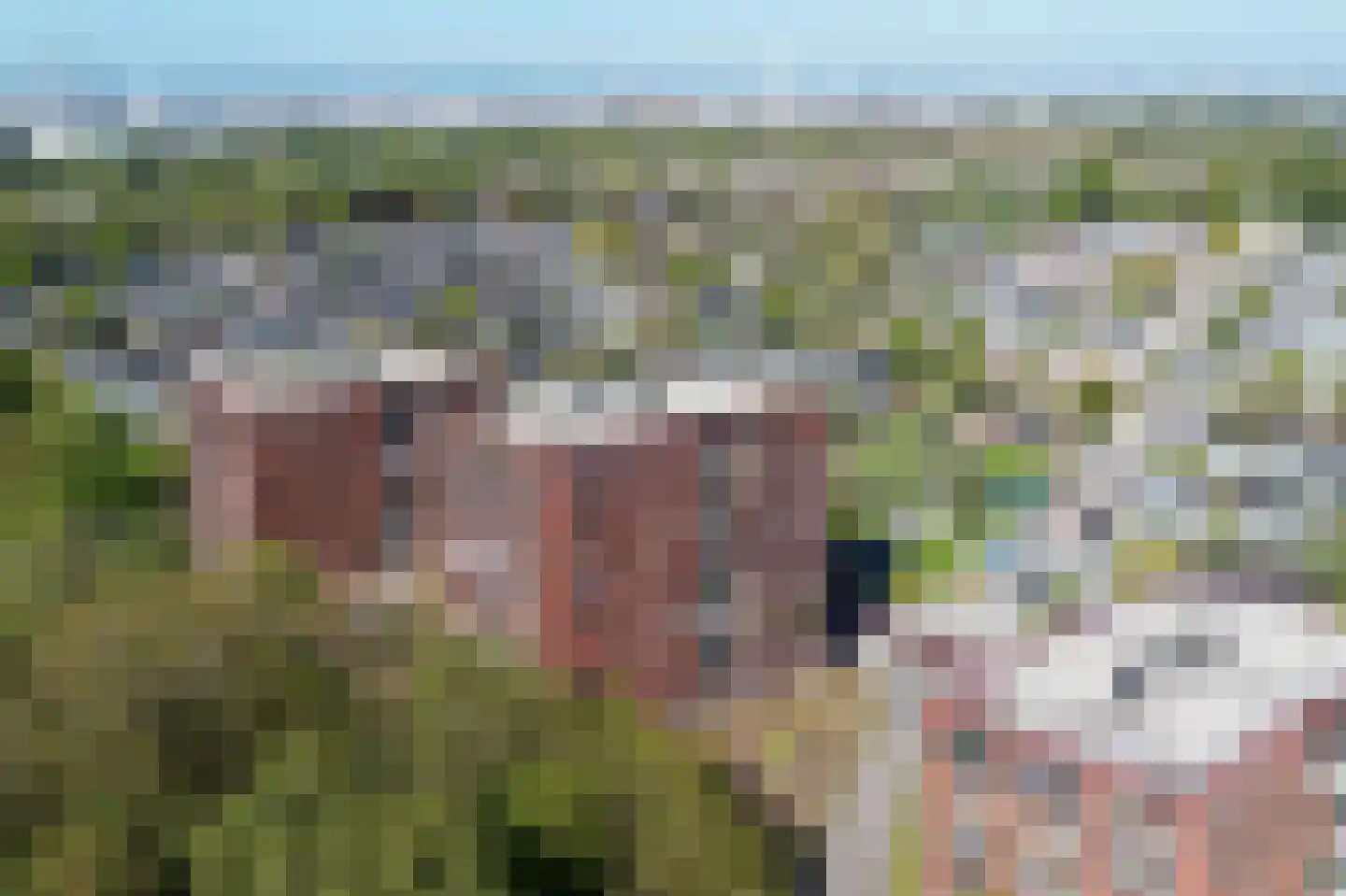 Wijnruitstraat 249 Hoogvliet Rotterdam thumbnail 34