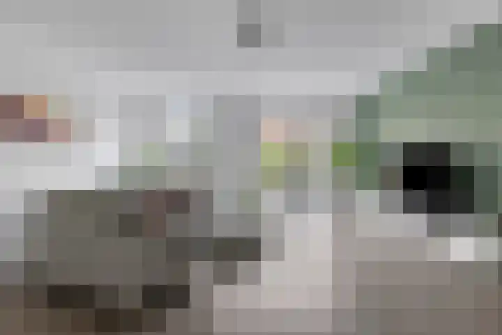 Wijnruitstraat 25 Groningen thumbnail 12