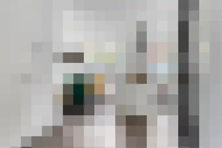 Wijnruitstraat 25 Groningen thumbnail 14