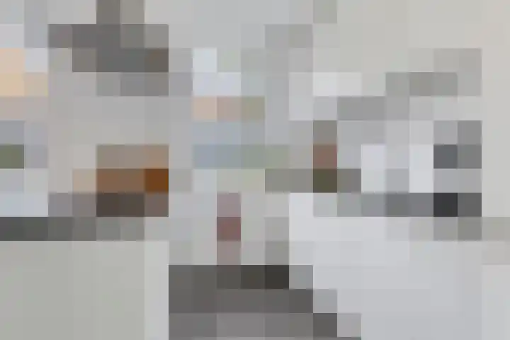 Wijnruitstraat 25 Groningen thumbnail 17