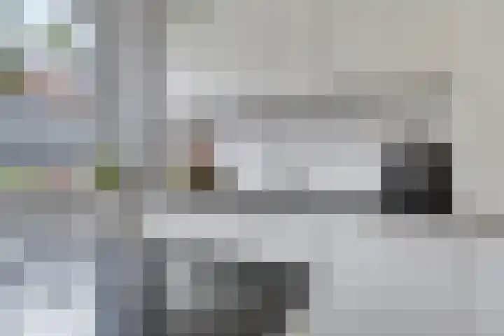 Wijnruitstraat 25 Groningen thumbnail 18