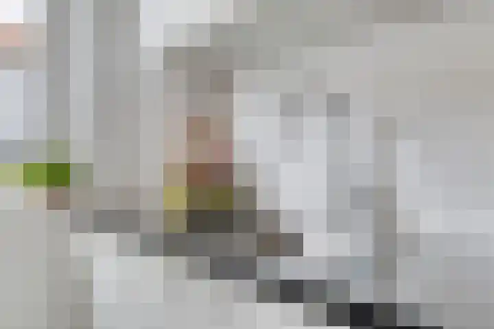 Wijnruitstraat 25 Groningen thumbnail 19