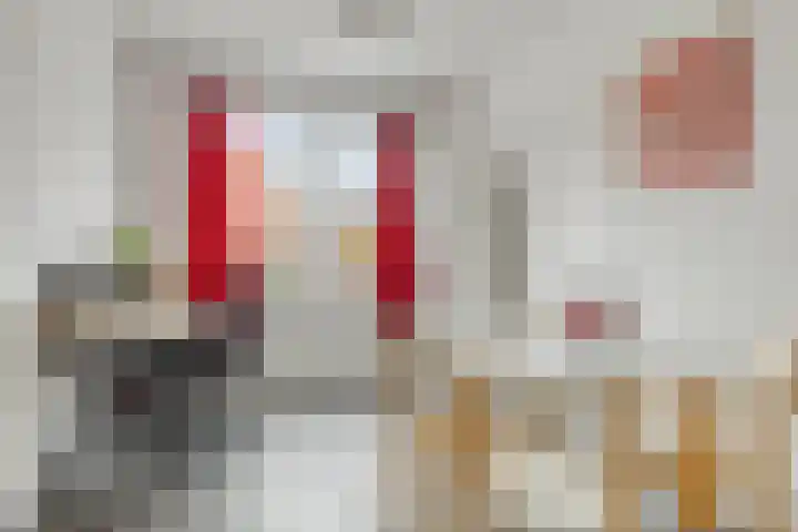 Wijnruitstraat 25 Groningen thumbnail 26