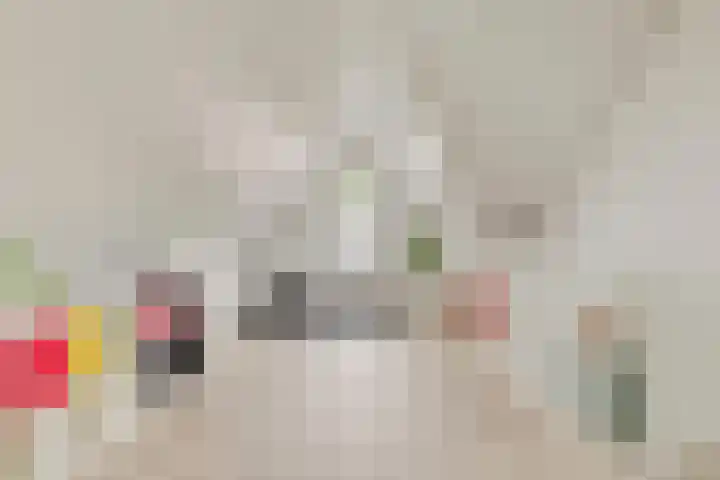 Wijnruitstraat 25 Groningen thumbnail 28