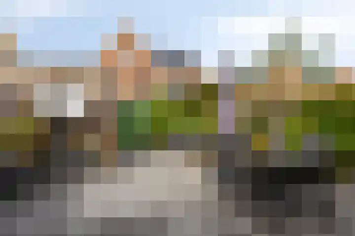 Wijnruitstraat 25 Groningen thumbnail 30