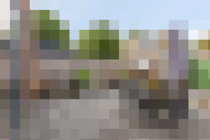 Wijnruitstraat 25 Groningen thumbnail 31