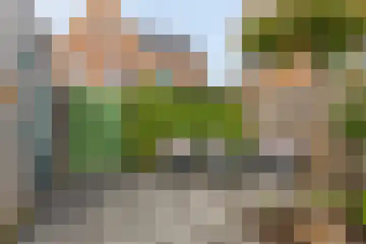 Wijnruitstraat 25 Groningen thumbnail 32