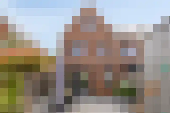 Wijnruitstraat 25 Groningen thumbnail 33