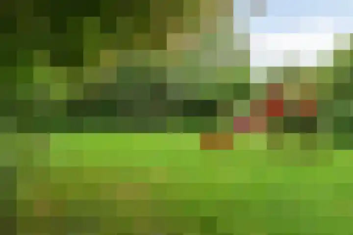 Wijnruitstraat 25 Groningen thumbnail 34
