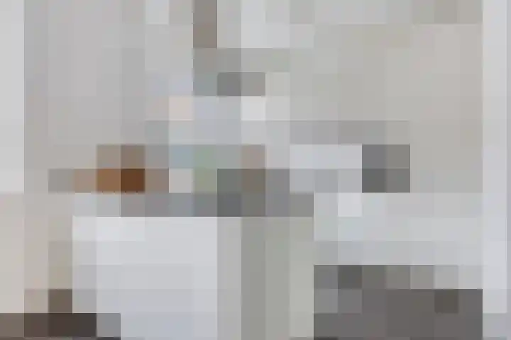 Wijnruitstraat 25 Groningen thumbnail 4