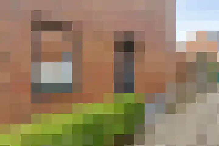 Wijnruitstraat 25 Groningen thumbnail 9