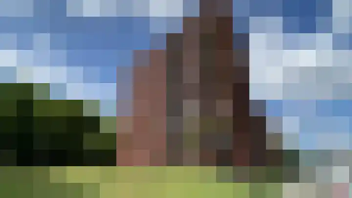 Wijnruitstraat 257 in Hoogvliet Rotterdam