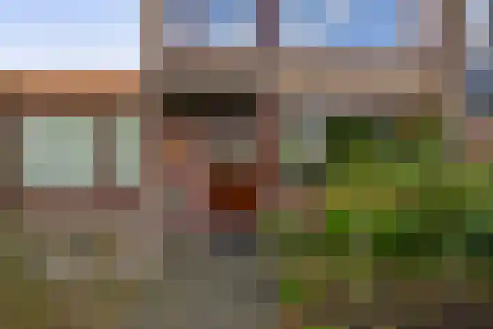 Wijnruitstraat 28 Hoogvliet Rotterdam thumbnail 12