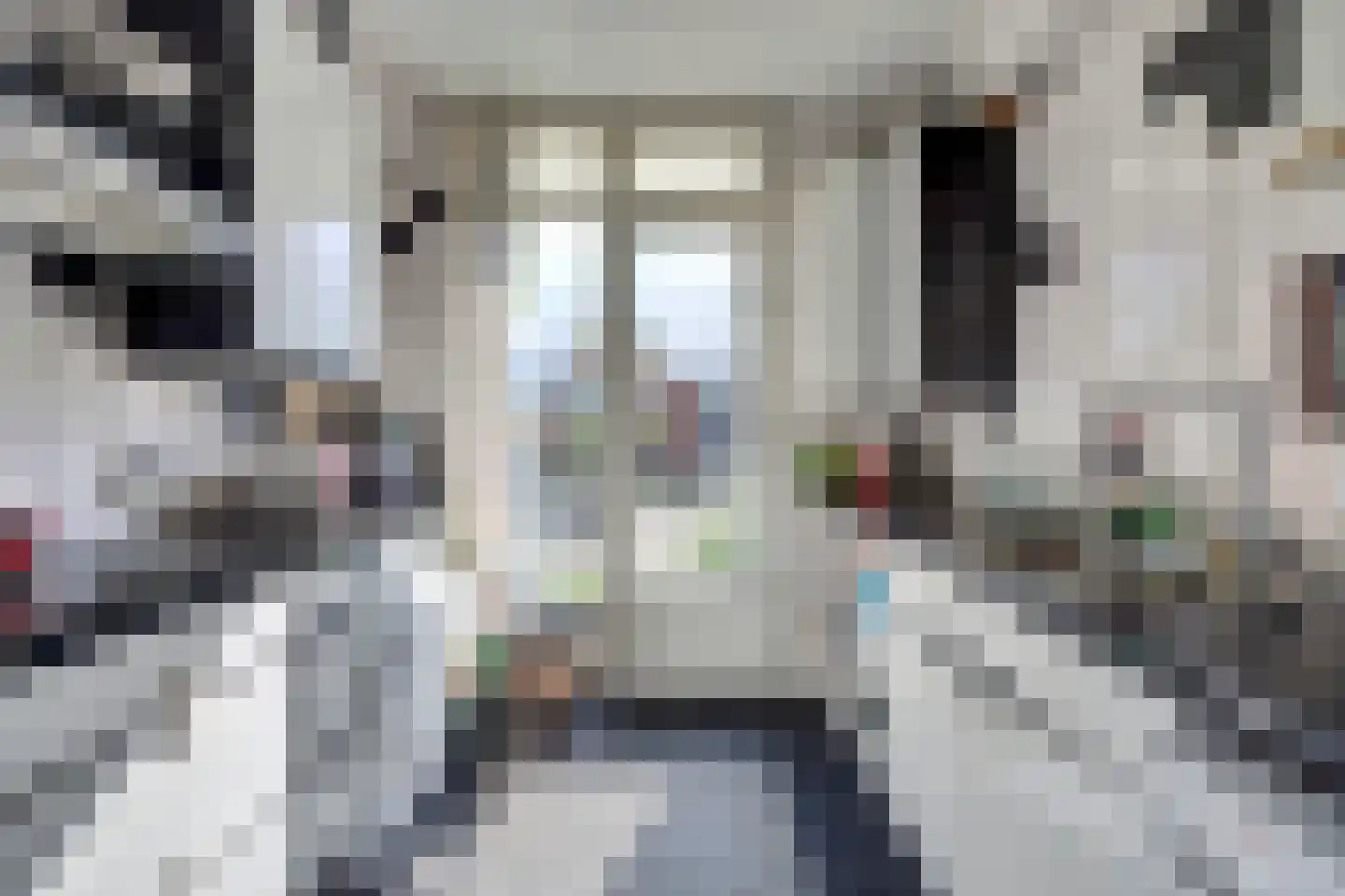 Wijnruitstraat 31 Hoogvliet Rotterdam thumbnail 6