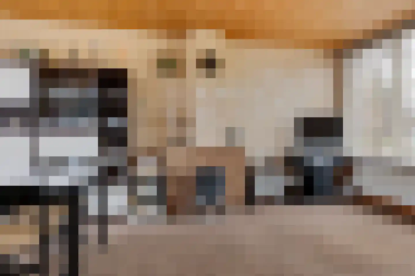 Wijnruitstraat 31 Waalwijk thumbnail 12