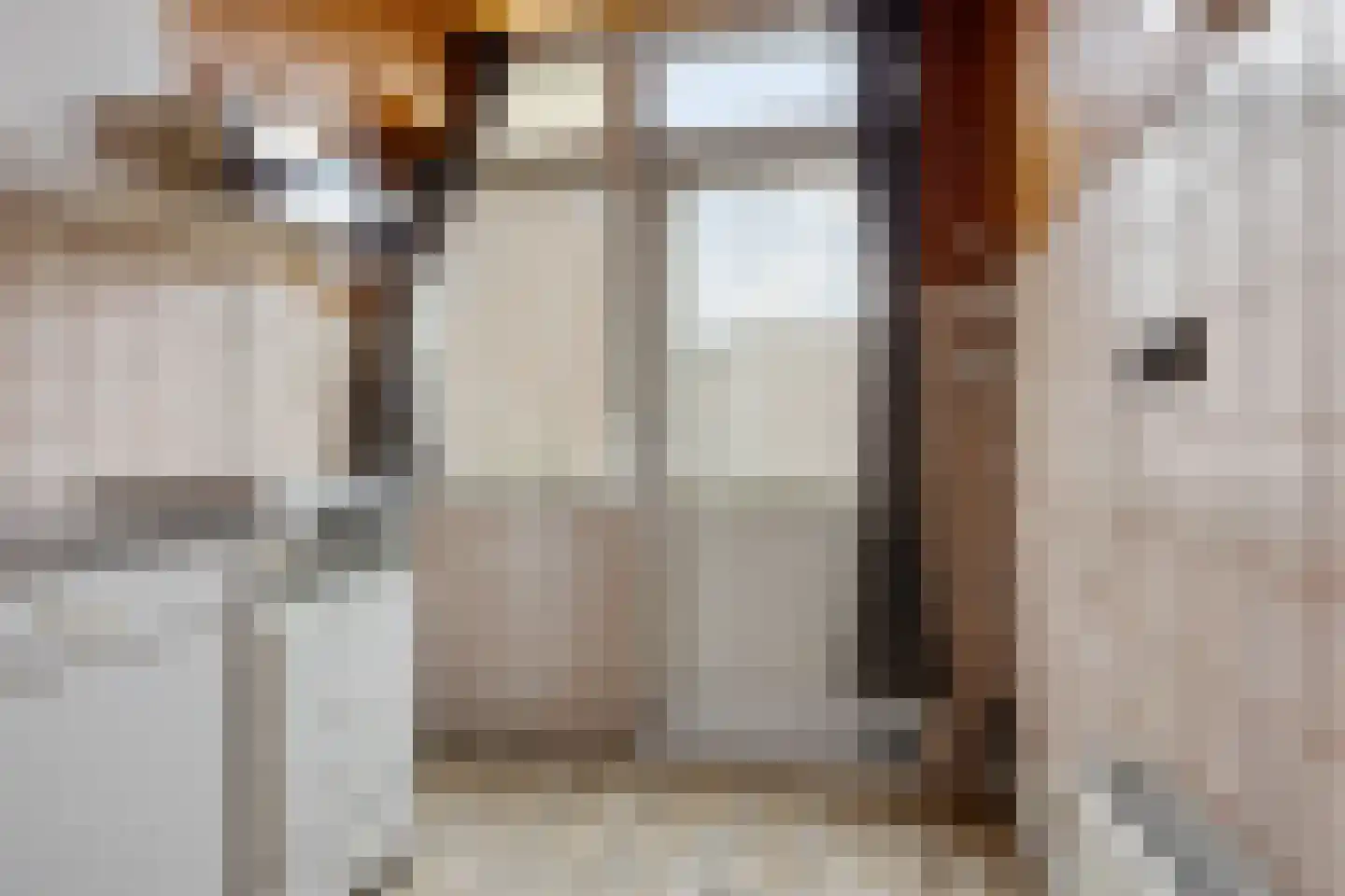 Wijnruitstraat 31 Waalwijk thumbnail 15