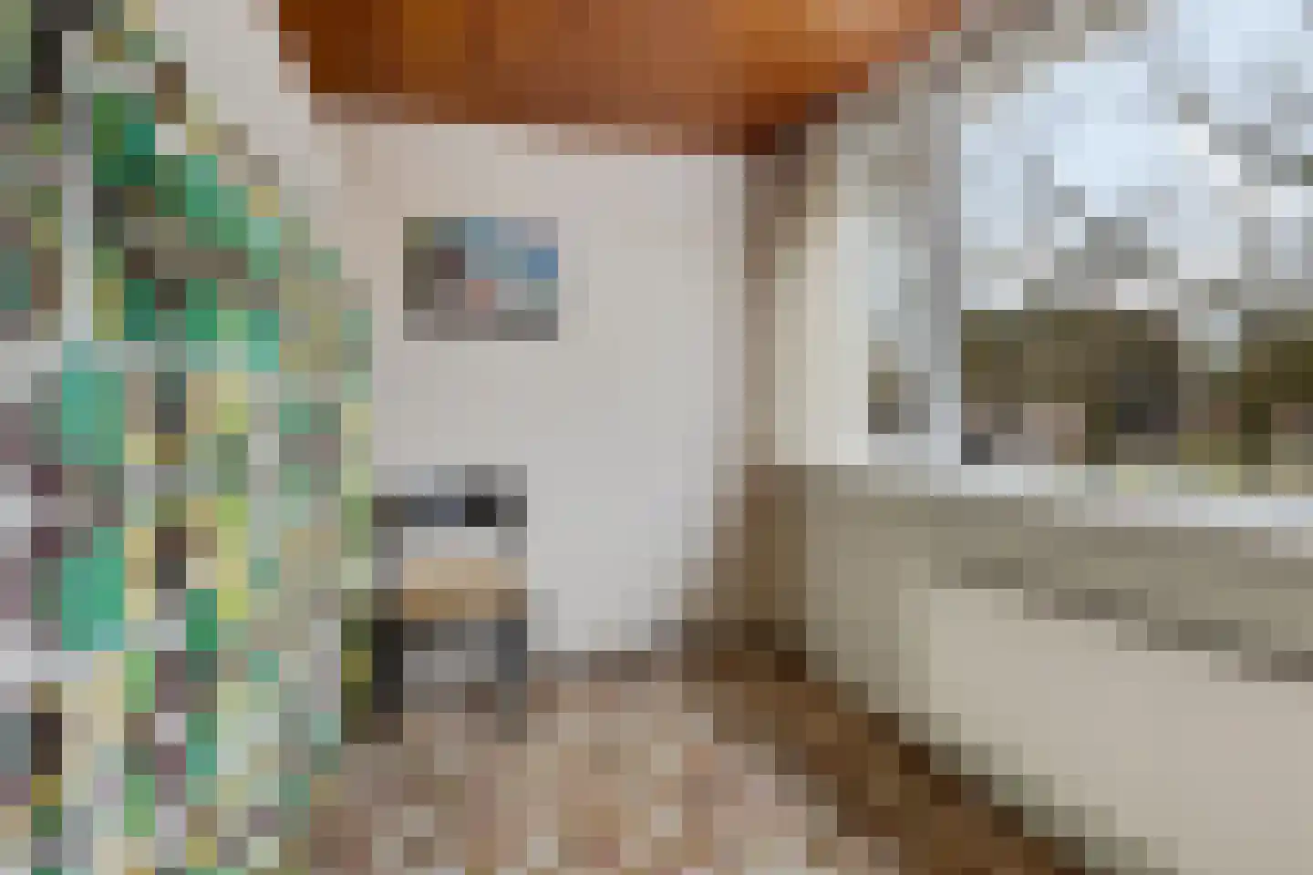 Wijnruitstraat 31 Waalwijk thumbnail 20