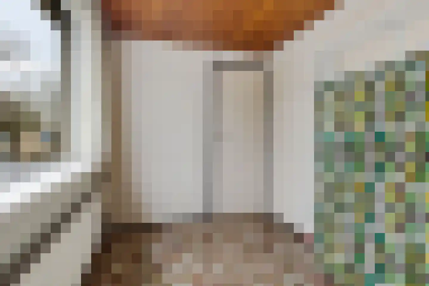 Wijnruitstraat 31 Waalwijk thumbnail 21