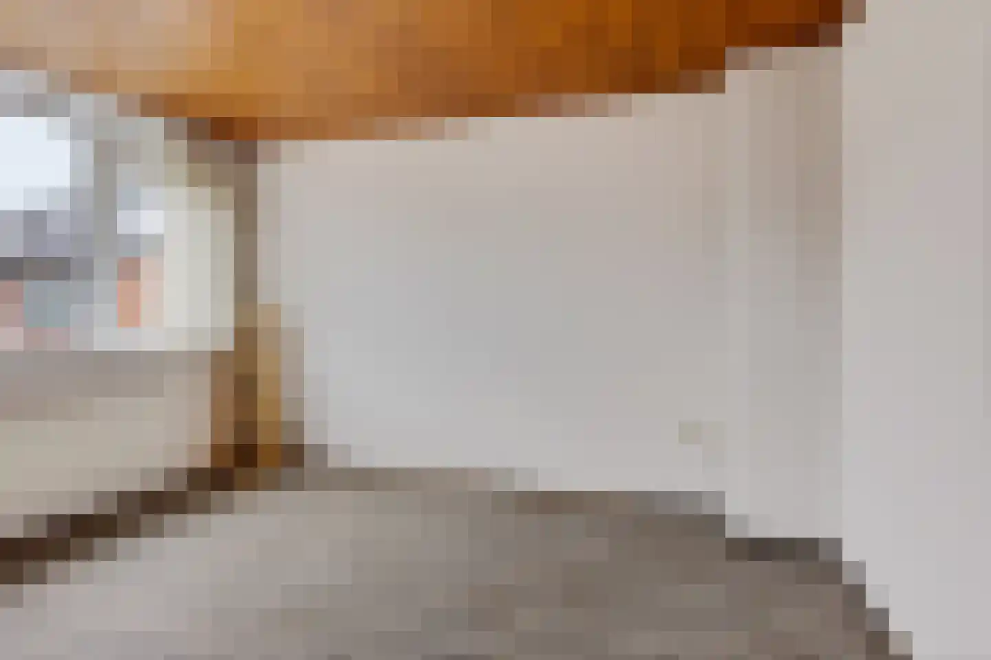Wijnruitstraat 31 Waalwijk thumbnail 22