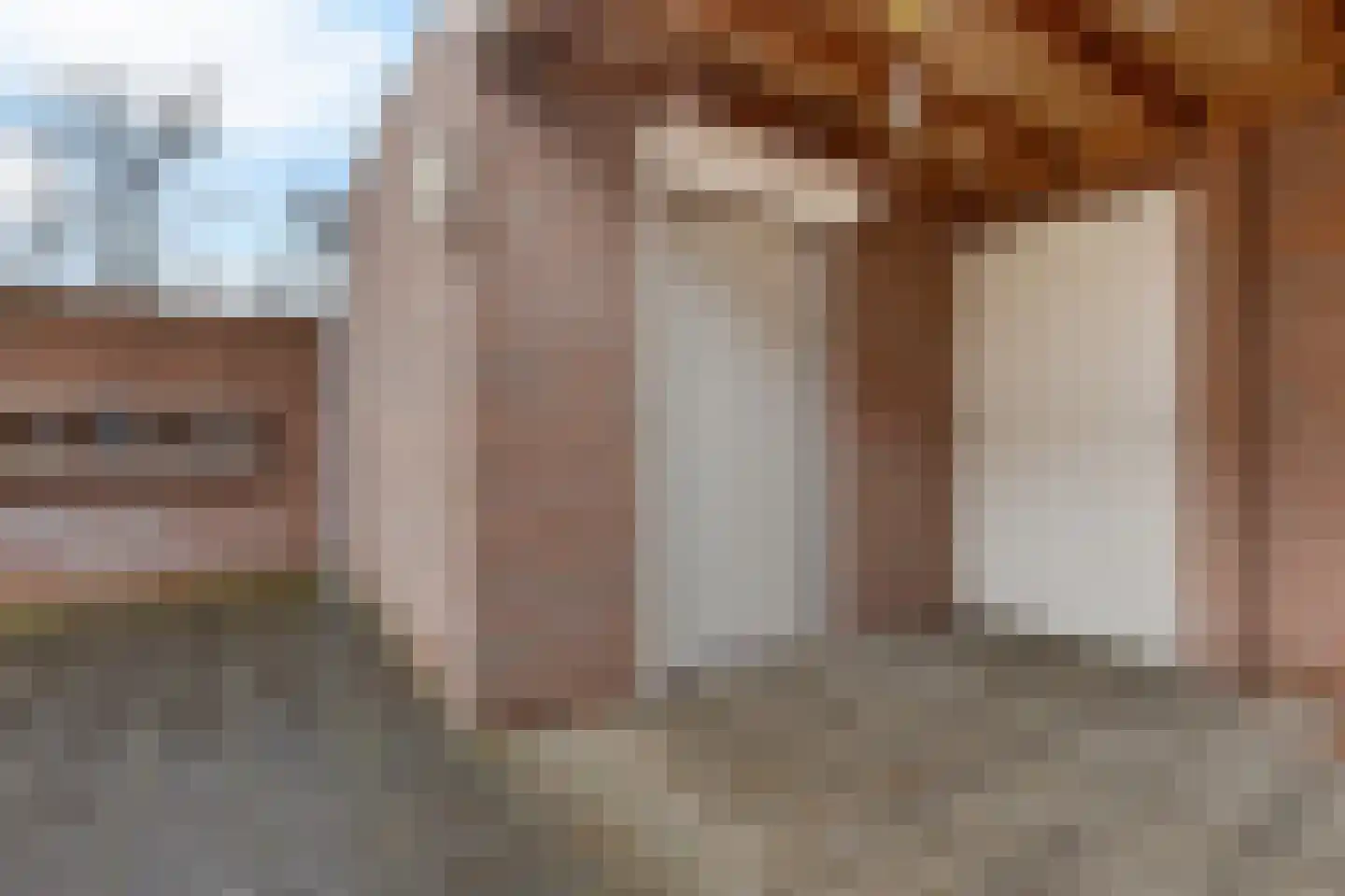 Wijnruitstraat 31 Waalwijk thumbnail 37