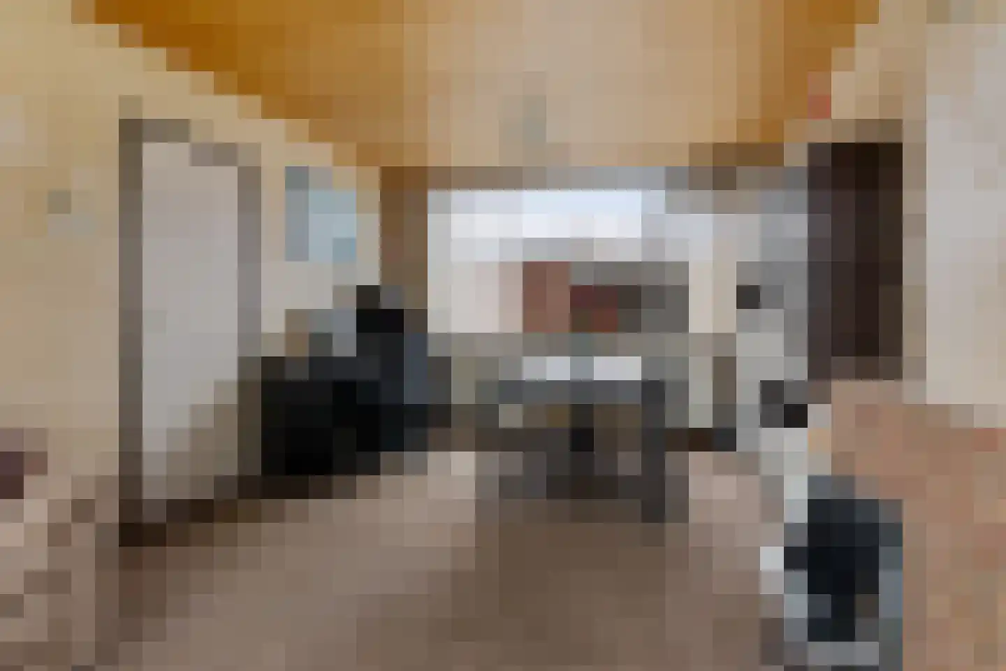 Wijnruitstraat 31 Waalwijk thumbnail 9